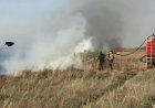 Баянауыл ұлттық паркіндегі негізгі өрт сөндірілді