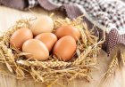 Казахстан на полгода ограничил ввоз куриных яиц для поддержки местных производителей