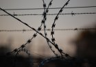 Елімізде 15 мың қылмыскер бостандыққа шығатын болды