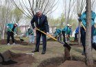 Токаев принял участие в высадке деревьев в парке “Жастар”