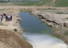 Шымкентте бүлдіршіннің өлімінен кейін екі кәсіпкер қамауға алынды
