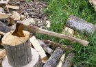 Күйеуі саусағын шапқан әйел туралы тың дерек шықты