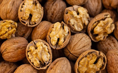 В Кыргызстане предложили переименовать грецкий орех в кыргызский