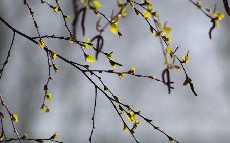 Какая погода ждет казахстанцев в апреле