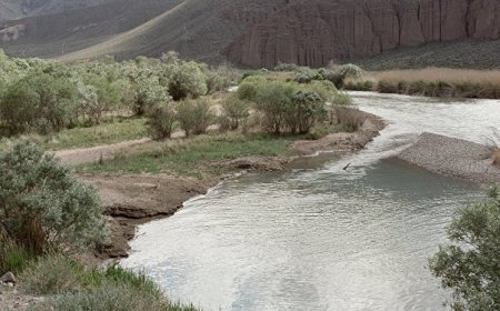 Жамбыл облысында қалталы кәсіпкер Шу өзенін бұрып алған