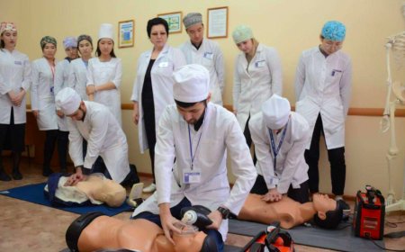 Минздрав внес изменения в правила присвоения квалификационных категорий медработникам