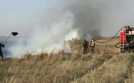 Баянауыл ұлттық паркіндегі негізгі өрт сөндірілді