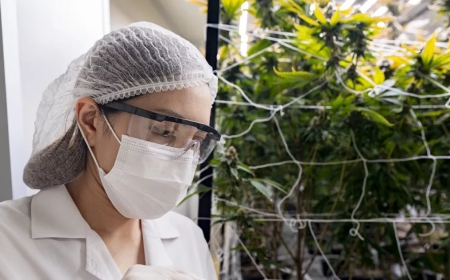 Абай облысындағы бір ауылда карантин жарияланды