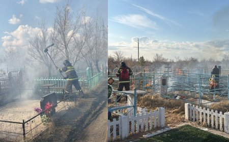В Экибастузе на территории кладбища произошёл пожар