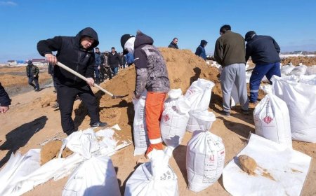 ТЖ салдарын жою: мемлекеттік қолдау және қалпына келтіру шаралары