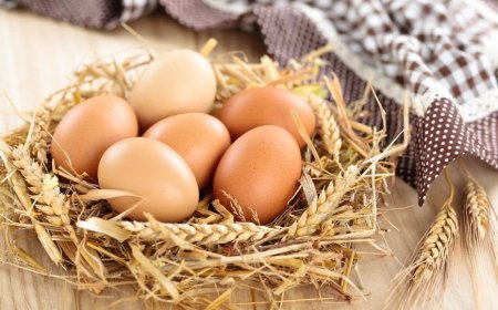 Казахстан на полгода ограничил ввоз куриных яиц для поддержки местных производителей