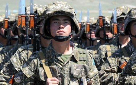Қорғанысы мықты елді жау алмайды