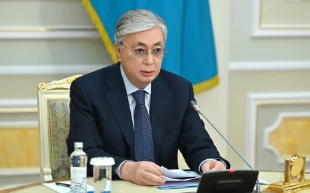 «Академик холдингті әбден тонап, балаларымен бірге мұхиттың ар жағына қашып кеткен» – Тоқаев