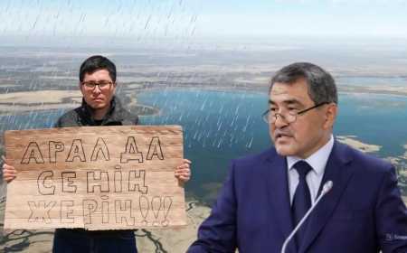 «Жұмыстарының ғылыми дәлелі жоқ»: Министр Алтай Айнабектің үндеуіне жауап берді