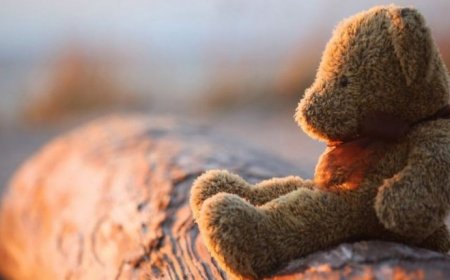 «Бұл ақпаратты журналист, блогерлер көрсетпейді»: белгілі заңгер Шымкентте 6 жасар бала батпақ суға құлап көз жұмғанын айтты