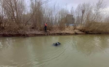В Павлодарской области ищут мужчину, прыгнувшего в Иртыш и не вернувшегося на берег