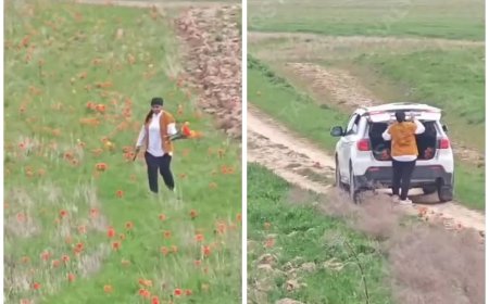 Экология министрі Қызыл кітапқа енген гүлді жұлған әйелге 12 миллион теңге айыппұл салуды құптайтынын айтты