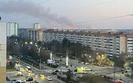 Вблизи Аксу вспыхнул крупный пожар: тушили с воды и с воздуха