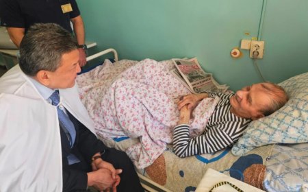 «Сүйегі сынған»: Петропавлда оқушы қыз соғыс ардагерін соғып кеткен