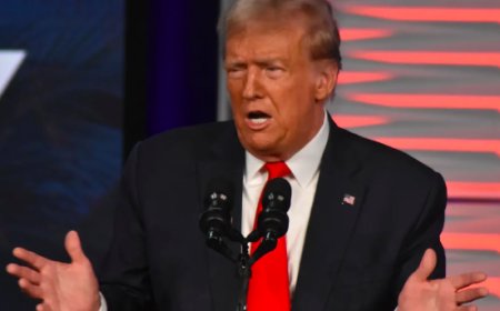 Трамп приостановил введение таможенных пошлин