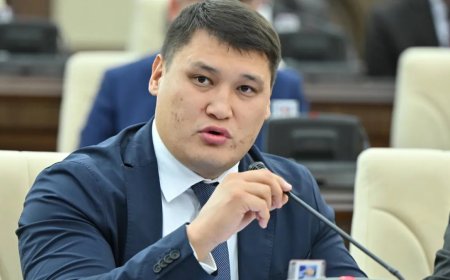 Шымкент қаласы әкімінің орынбасарын атып кетті