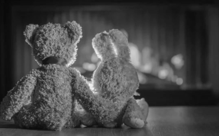 Жамбыл облысында газдан уланып көз жұмған үш баланың денесі жер қойнына тапсырылды