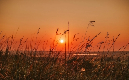 Елімізде 37 градусқа дейін ыстық күтілуде