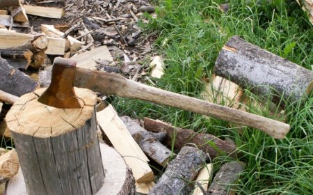 Күйеуі саусағын шапқан әйел туралы тың дерек шықты