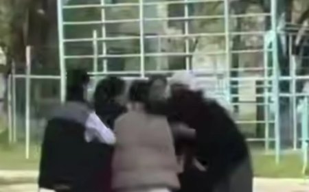 Қаскелең қаласында колледждегі қыздар төбелес шығарды