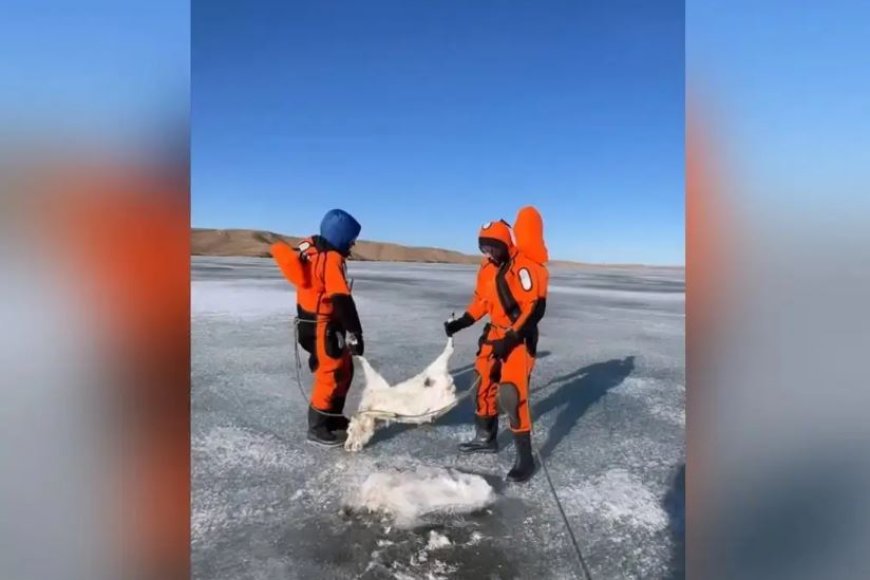 Желіде порно қосылды