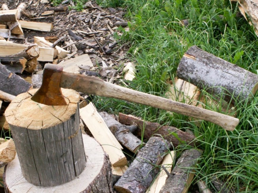 Күйеуі саусағын шапқан әйел туралы тың дерек шықты