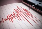Землетрясение магнитудой 4,9 произошло в 544 километрах от Алматы