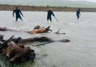 Мужчина сорвался с троса и упал в реку: в Жетысу продолжаются поиски