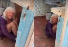 «Үйдің іші нәжіске, тарақанға толы»: Шымкентте тыл еңбеккері жылдар бойы адам төзгісіз жағдайда өмір сүріп келген
