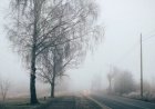 Грозы, шквалы и пыльные бури: «Казгидромет» объявил штормовое предупреждение по Казахстану