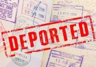 США начали депортировать мигрантов по программе «самодепортации»