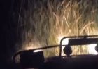 В Костанайской области двое подростков заблудились в камышах во время поисков скота