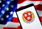 США ужесточат выдачу студенческих виз