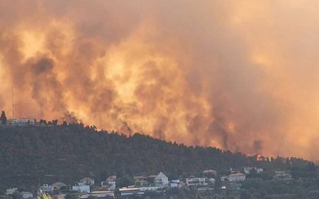 Израиль просит международную помощь в борьбе с масштабными пожарами под Иерусалимом