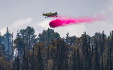 В Израиле задержаны 18 подозреваемых в поджогах лесов