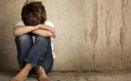 Абай облысында бір үйдің 3 баласы алты жыл бойы мектепке бармаған