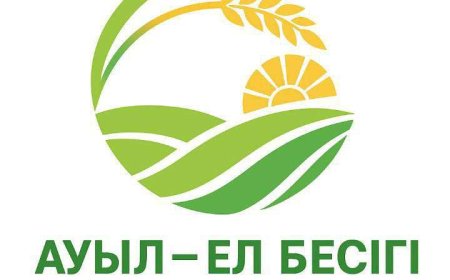 В селах Казахстана реализуют тысячу новых проектов на 176,4 млрд тенге