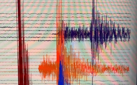 На месторождении Тенгиз зафиксировано землетрясение магнитудой 4,2
