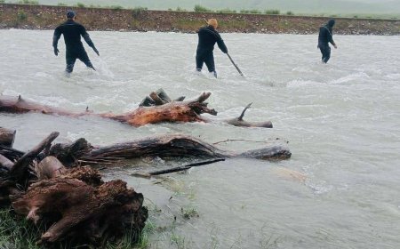 Мужчина сорвался с троса и упал в реку: в Жетысу продолжаются поиски