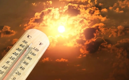 Елімізде алдағы күндері 40 градус ыстық болады