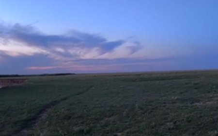 В Акмолинской области нашли тело шестилетнего мальчика, пропавшего 30 апреля