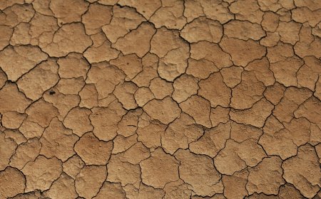 Мамыр айында еліміздің 11 өңірінде құрғақшылық болады – Экология министрлігі