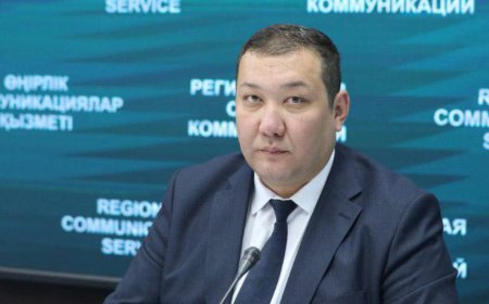 Лайк дауы: Шымкент жастар орталығының басшысы қызметінен кетті