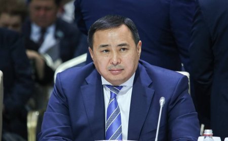 Экс-глава «Атамекен» Аблай Мырзахметов снова просит освободить его досрочно