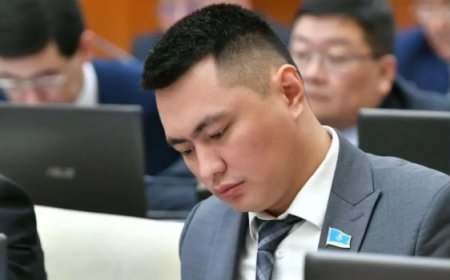 «Мен емес»: Дәулет Мұқаев Сара Назарбаева туралы таратқан ақпараты үшін жауап берді